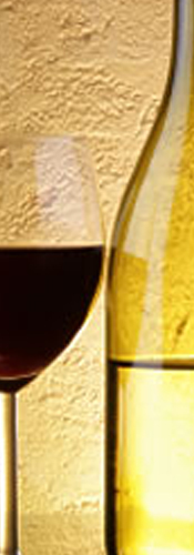 vino wine vinpesto.com