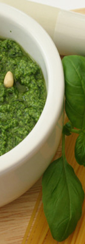 pesto pesto vinpesto.com